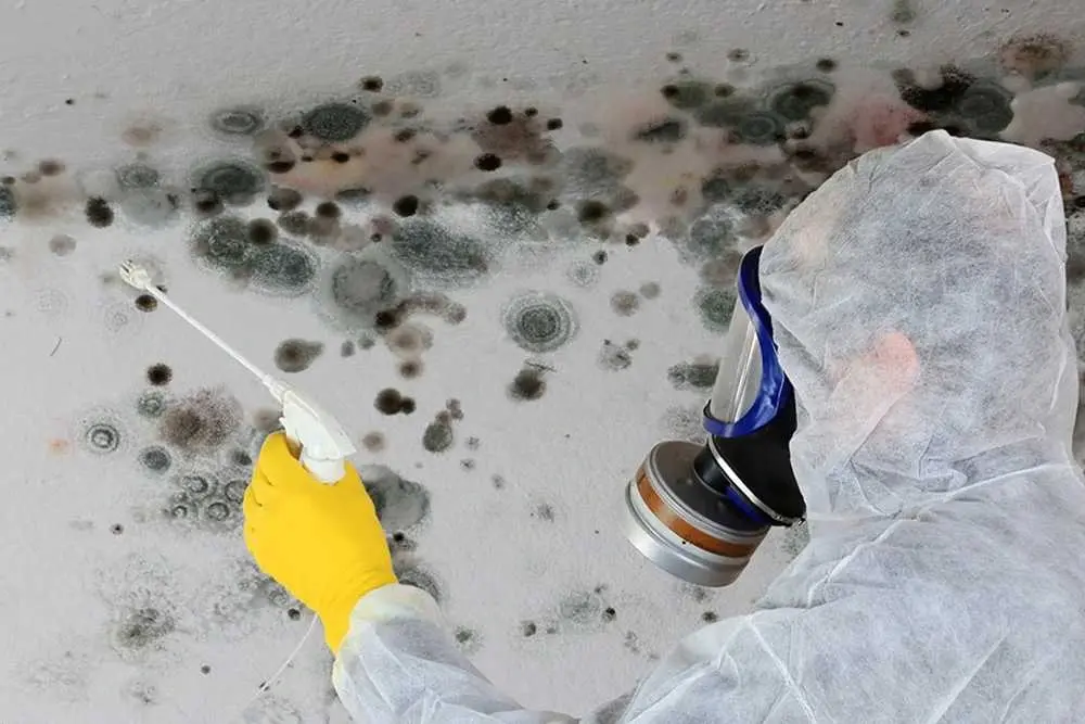 Environmental Hygiene Testing